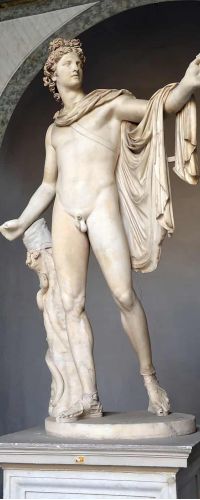 Apollo del Belvedere