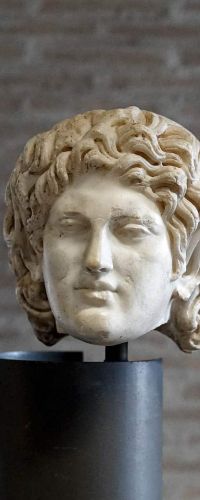 Testa di una statua di satiro in riposo